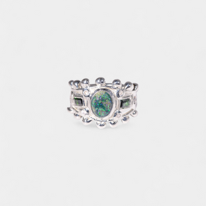 Dark Matter Ring