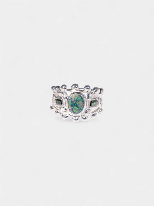 Dark Matter Ring