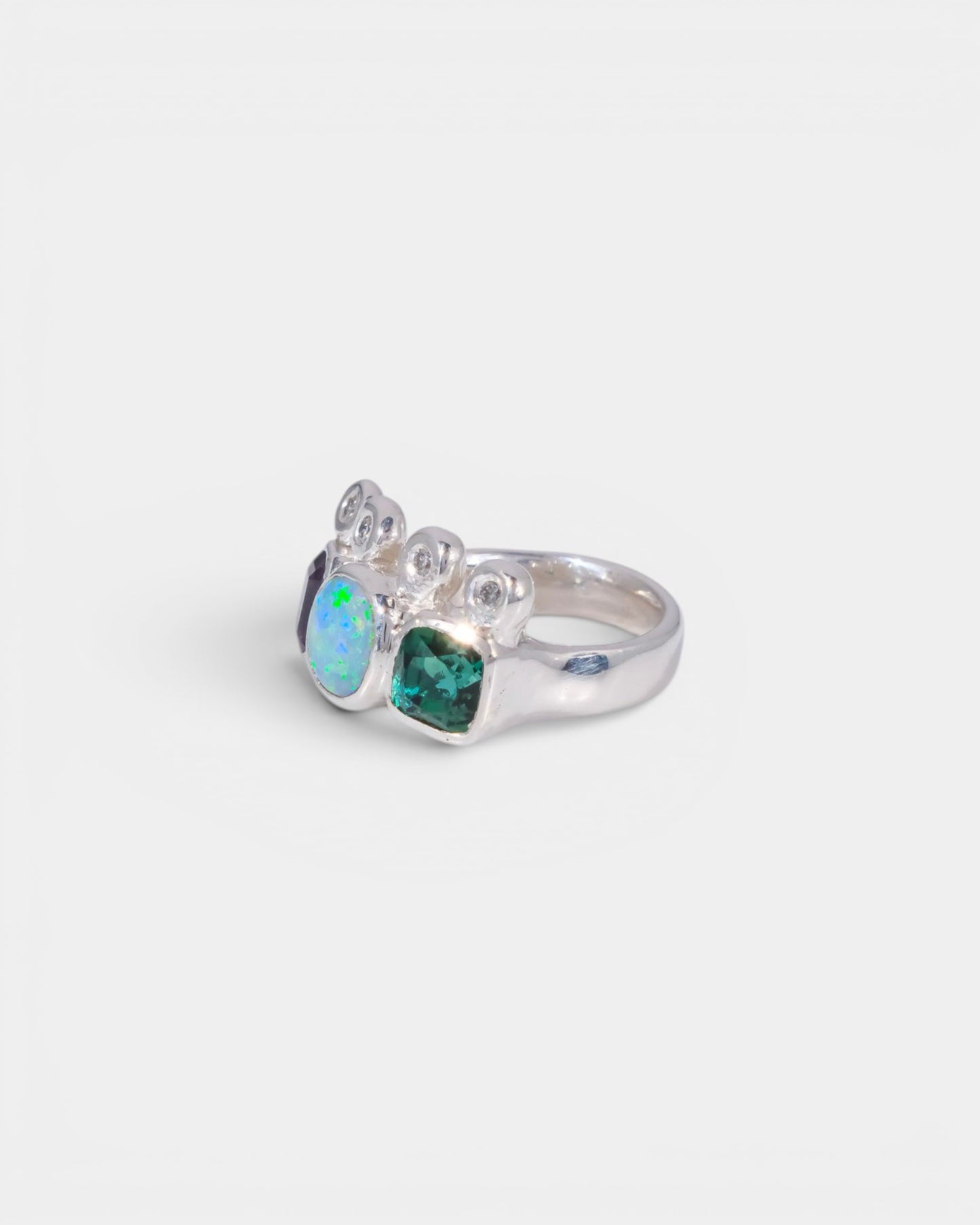 Fig Newton Ring